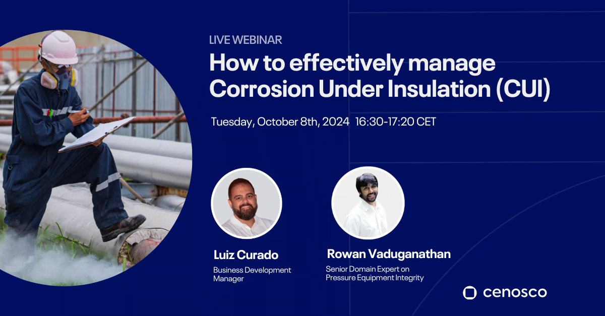 how to effectively manage corrosion under insulation (cui)